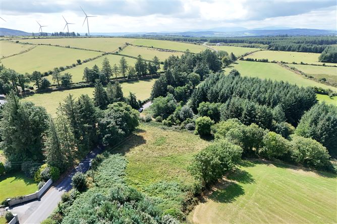 Photo 8 of 10 — Ballymackgill Site, Smithstown, Mullinavat, Co. Kilkenny