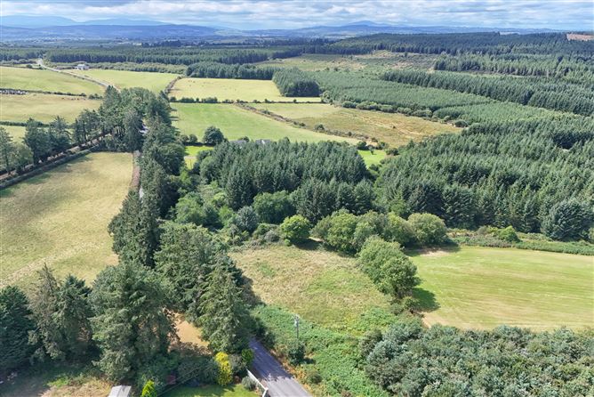 Photo 10 of 10 — Ballymackgill Site, Smithstown, Mullinavat, Co. Kilkenny