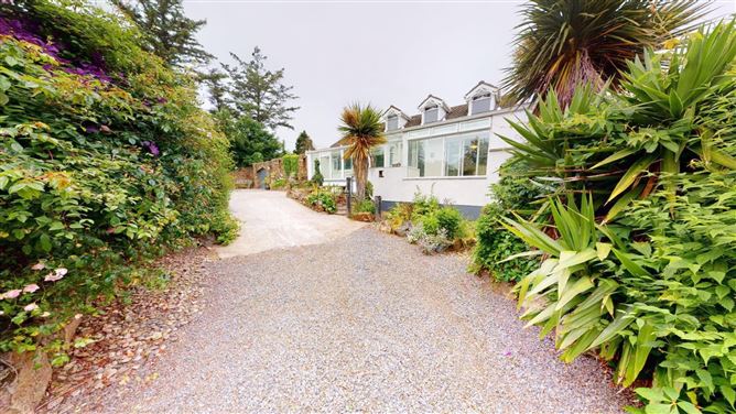Pinewoods, Curracloe, Co. Wexford
