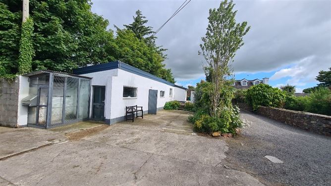 Pinewoods, Curracloe, Co. Wexford