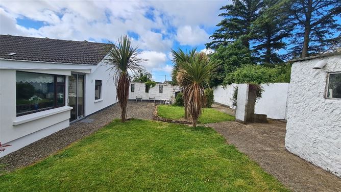 Pinewoods, Curracloe, Co. Wexford