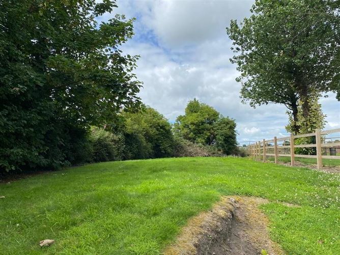 Suffolk St, Kells, Meath T&J Gavigan (Kells) 4631207 MyHome.ie Residential