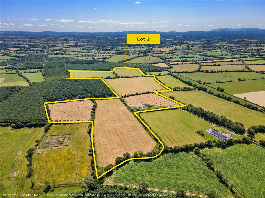 Lot 2 - Land At Newtown, Bonnettstown, Co. Kilkenny