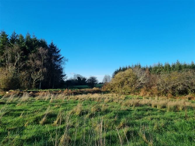 Banard, Abbeyfeale, Co. Limerick