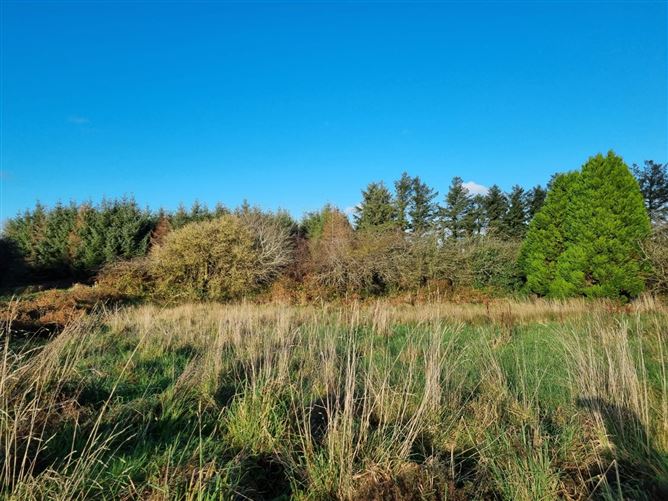Banard, Abbeyfeale, Co. Limerick