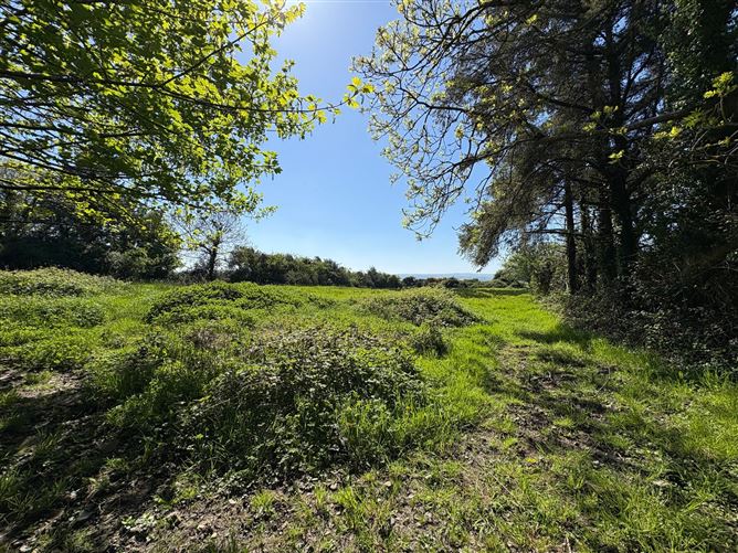 Photo 11 of 16 — Mountshannon West, Labasheeda, Kilrush, Co. Clare