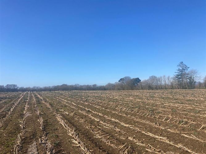Sweetfarm, Enniscorthy, Wexford