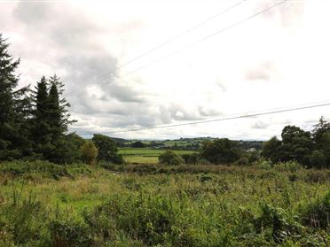 Image for Hollymount, Knock, Roscrea, Tipperary
