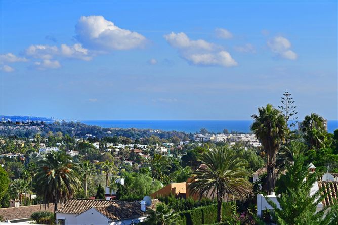 Spain, Marbella, Nueva Andalucia - COSTA-00511P