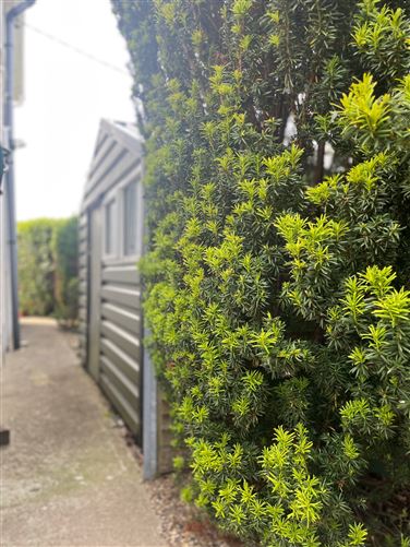 Woodview, Lakelands Crescent, Kilmacud, Dublin