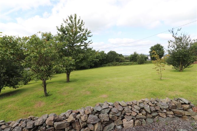 Killeeter, Mullagh, Cavan