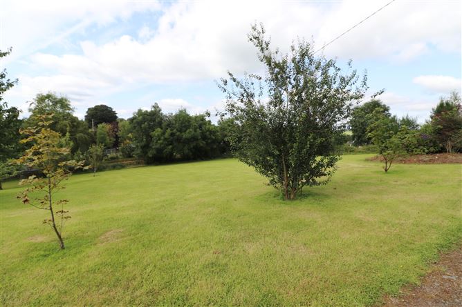 Killeeter, Mullagh, Cavan
