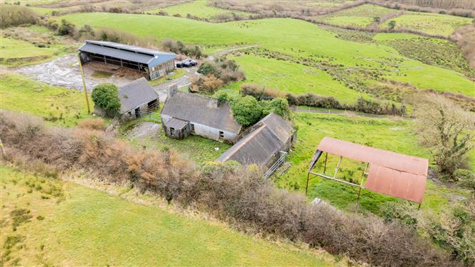 Land In Cree, Folio CE3131F, Kilrush, Co. Clare