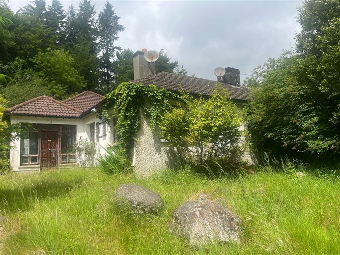 Laragh East, Glendalough, Wicklow Wilsons Auctions 4716807 MyHome