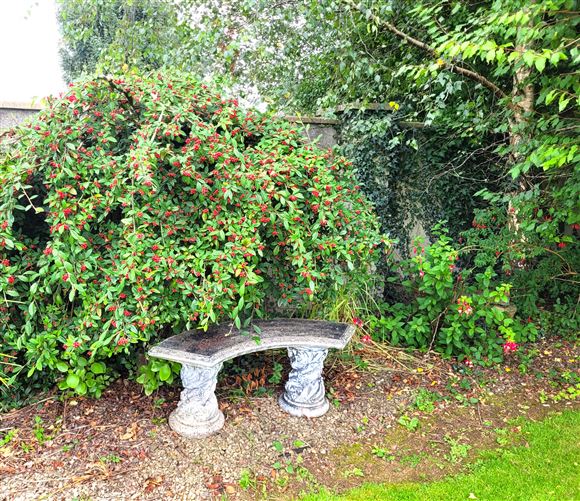 3 Barry's Court, Duntahane, Fermoy, Cork