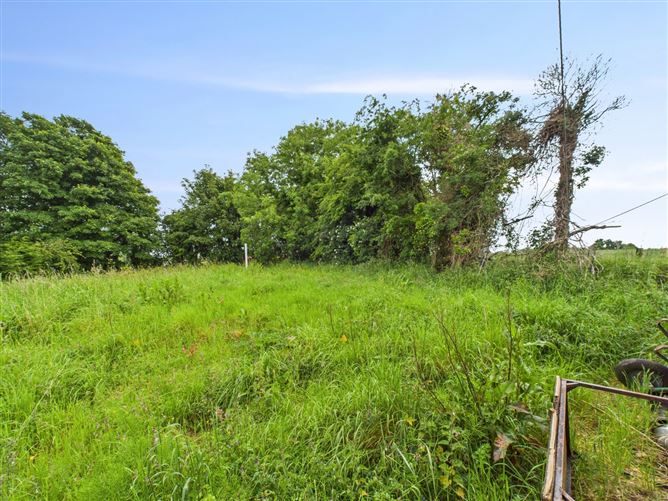 Ballard, Walshestown, Mullingar, Co. Westmeath