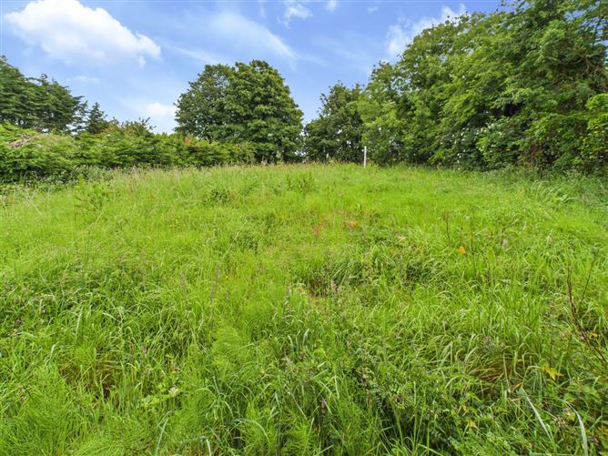 Ballard, Walshestown, Mullingar, Co. Westmeath