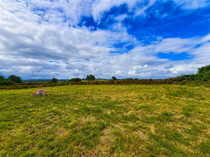 Photo 30 of 34 — Loumanagh North, Boherbue, Co. Cork