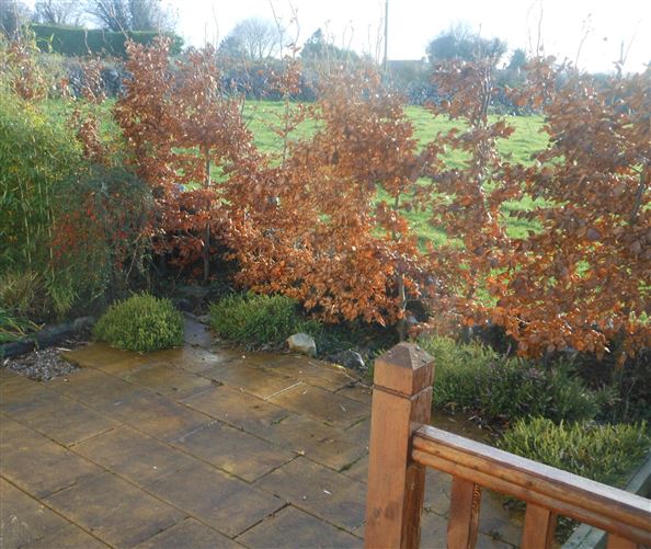 Gortnagroagh, Rosscahill, Co. Galway