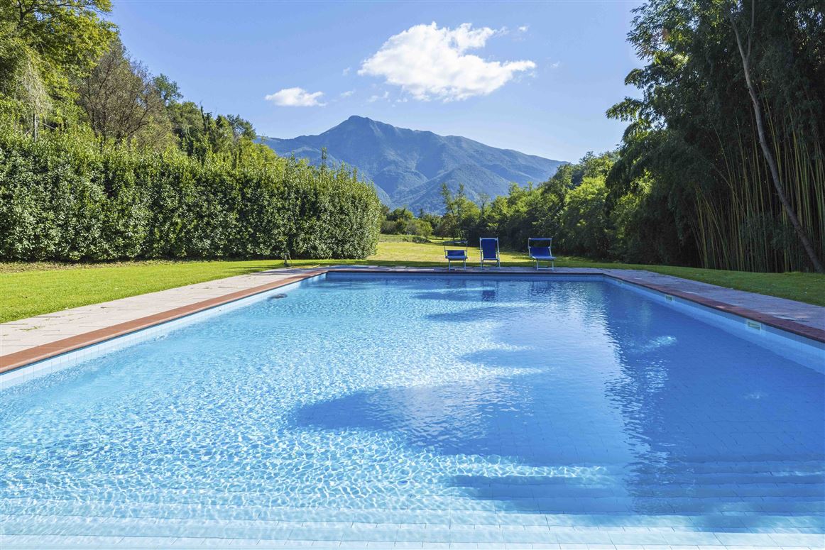 Emerald Forest,Camaiore,Tuscany,Italy
