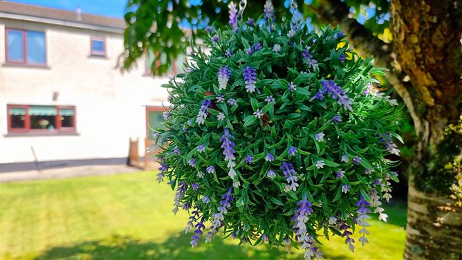 7 Rosebank, Oldbawn, Dublin 24