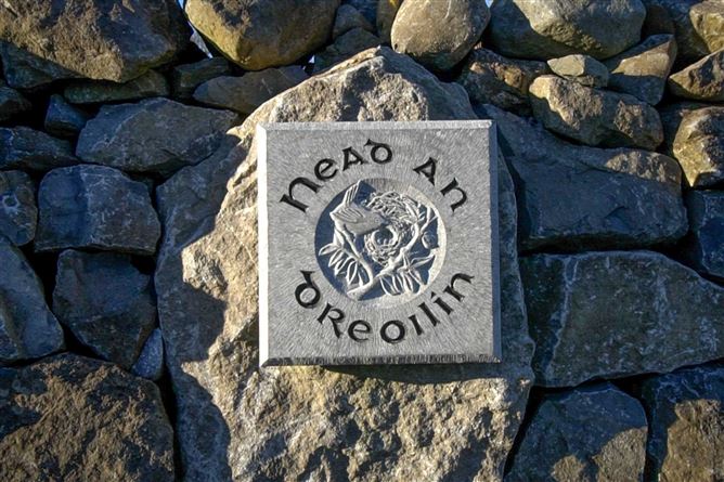 Photo 42 of 43 — Nead An Dreoilín, Rathgranagher, Hollymount, County Mayo