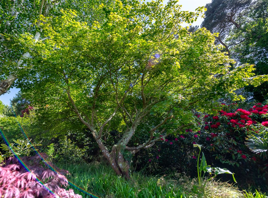 Woodside House, Sound Road, Kenmare, County Kerry, V93 X2R8 Woodside House, Sound Road, Kenmare, County Kerry, V93 X2R8