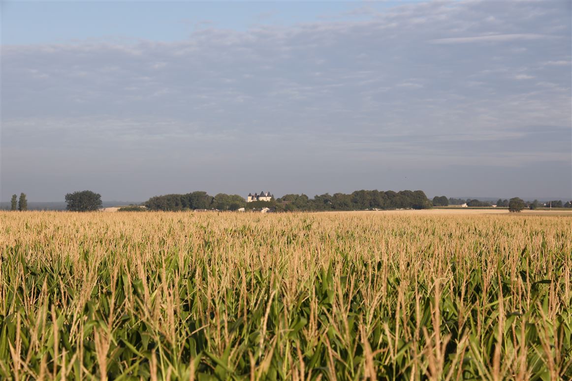 Loire Valley Delight,Marçay, Centre-Val de Loire, France