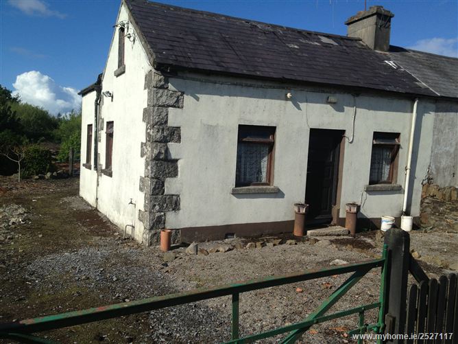 Slatt Upper, The Swan, Ballylynan, Laois
