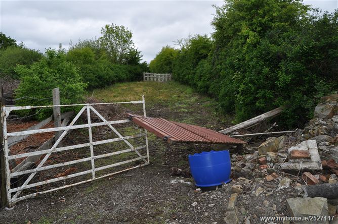 Slatt Upper, The Swan, Ballylynan, Laois