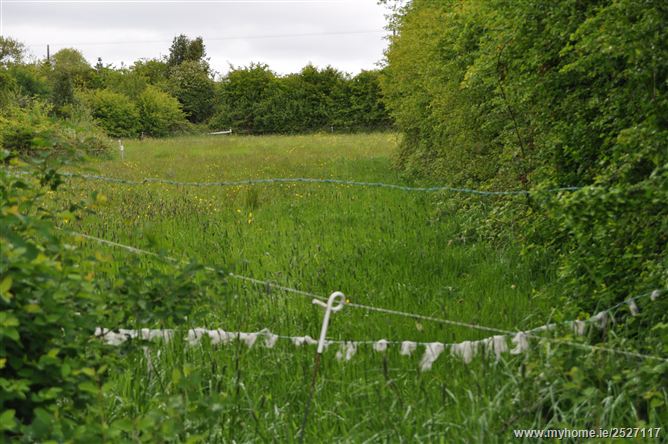 Slatt Upper, The Swan, Ballylynan, Laois