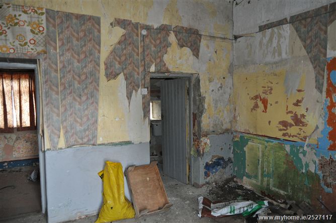 Slatt Upper, The Swan, Ballylynan, Laois