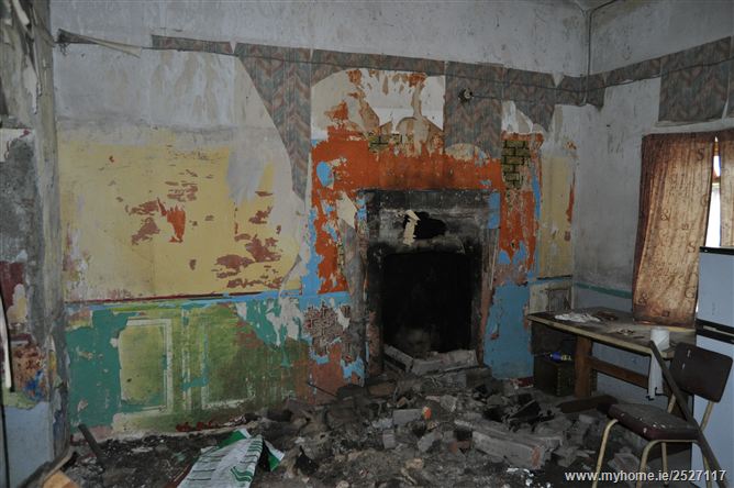 Slatt Upper, The Swan, Ballylynan, Laois