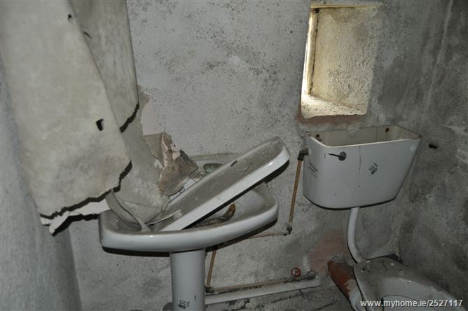 Slatt Upper, The Swan, Ballylynan, Laois