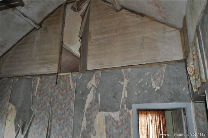 Slatt Upper, The Swan, Ballylynan, Laois