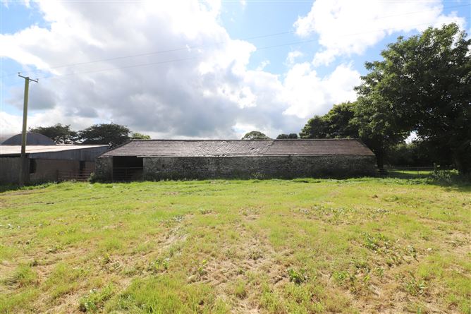 Ashpark, Dogstown, Crossakiel, Kells, Meath