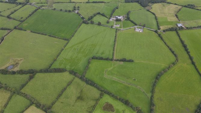 Ashpark, Dogstown, Crossakiel, Kells, Meath