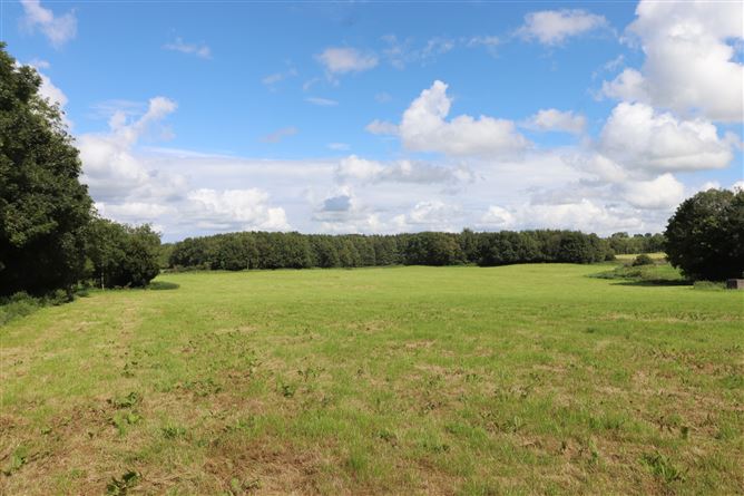 Ashpark, Dogstown, Crossakiel, Kells, Meath