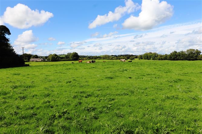 Ashpark, Dogstown, Crossakiel, Kells, Meath