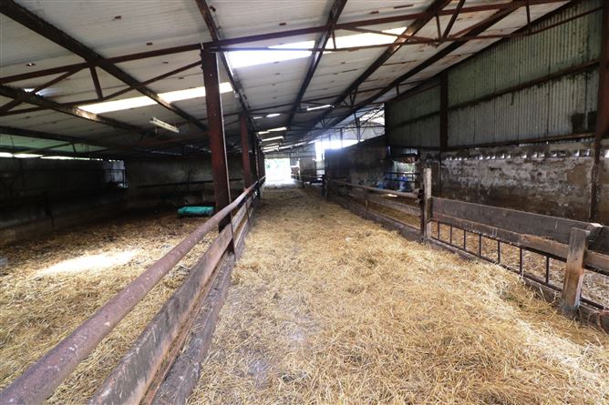 Ashpark, Dogstown, Crossakiel, Kells, Meath