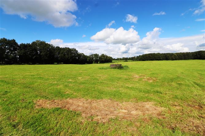 Ashpark, Dogstown, Crossakiel, Kells, Meath