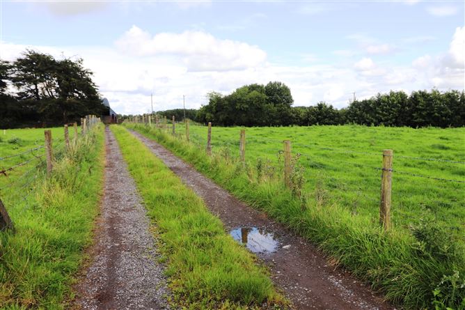 Ashpark, Dogstown, Crossakiel, Kells, Meath