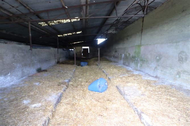 Ashpark, Dogstown, Crossakiel, Kells, Meath
