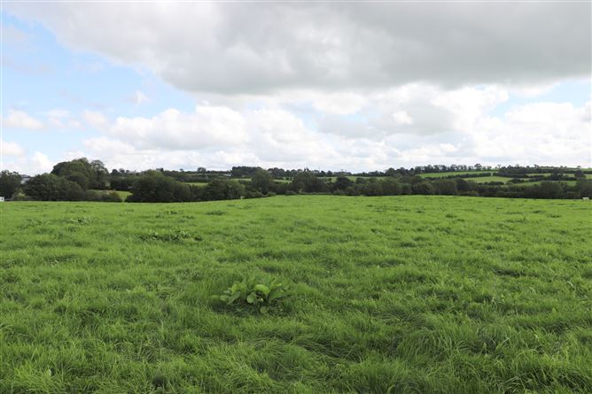 Ashpark, Dogstown, Crossakiel, Kells, Meath