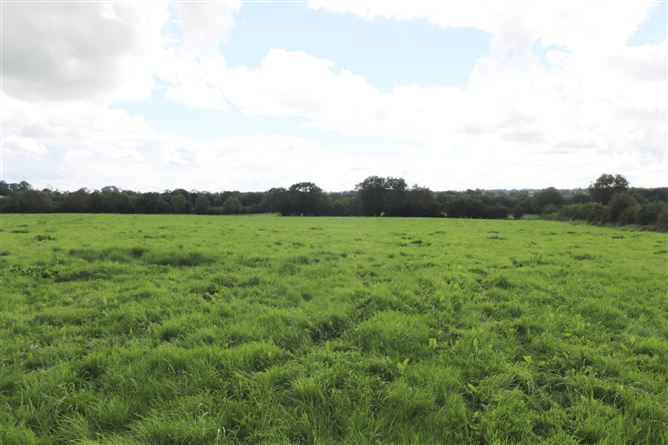 Ashpark, Dogstown, Crossakiel, Kells, Meath