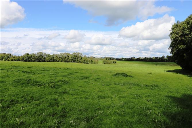 Ashpark, Dogstown, Crossakiel, Kells, Meath