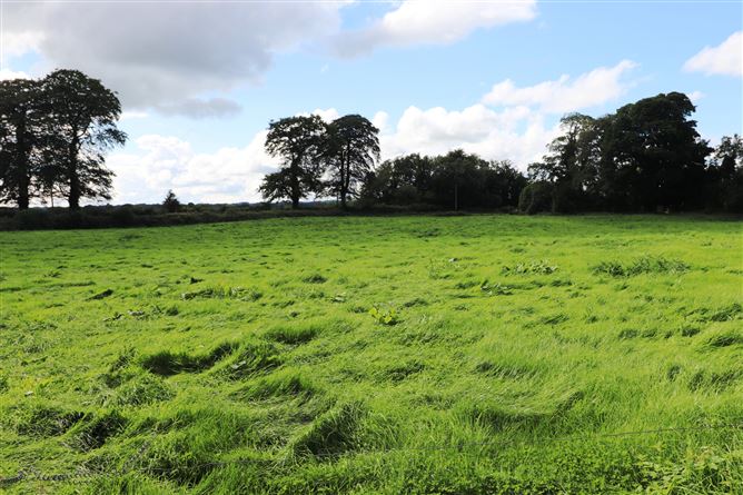 Ashpark, Dogstown, Crossakiel, Kells, Meath