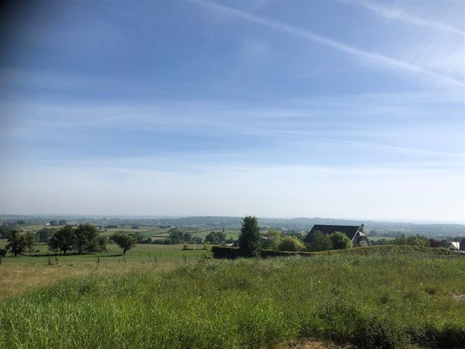 Carrigan More, St. Johns, Knockcroghery, Roscommon