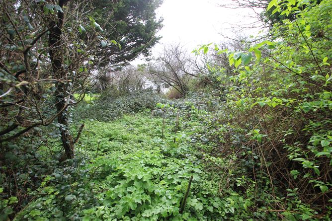 Site at The Green, Curraghbinny, Carrigaline, Cork