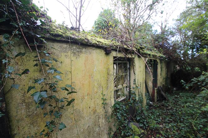 Site at The Green, Curraghbinny, Carrigaline, Cork